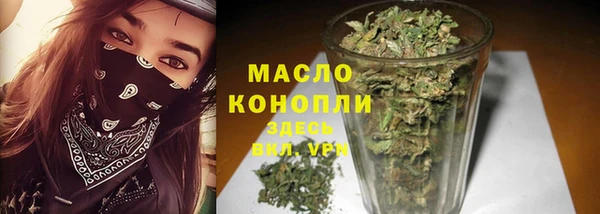 индика Михайловка