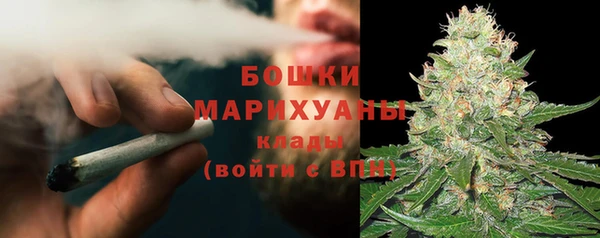 индика Михайловка