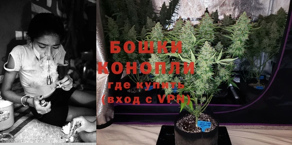 индика Михайловка