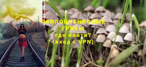 ПСИЛОЦИБИНОВЫЕ ГРИБЫ Мегион