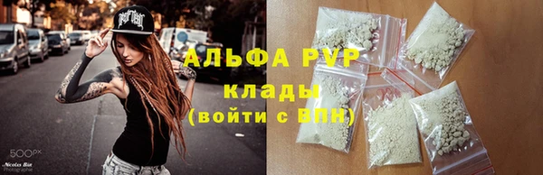 альфа пвп Медвежьегорск