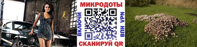 где продают наркотики  Юрьевец  кракен вход  Галлюциногенные грибы GOLDEN TEACHER 
